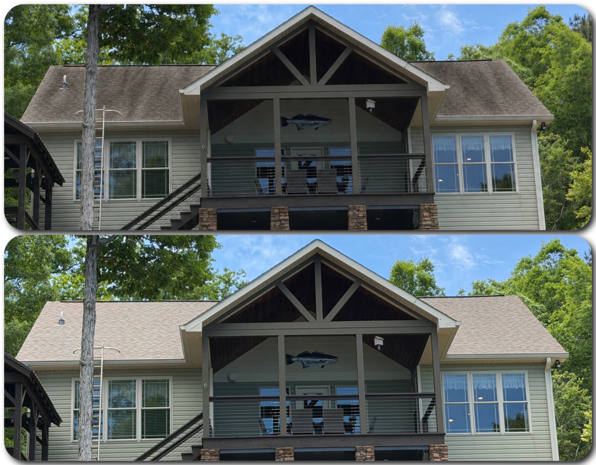 Roof Cleaning
